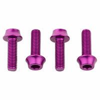 Titanium Water Bottle Cage Bolts - Litespeed Bicycles