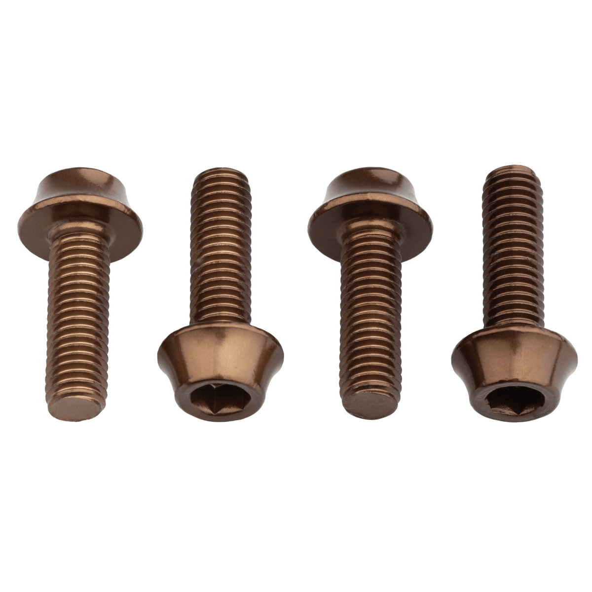 Titanium Water Bottle Cage Bolts - Litespeed Bicycles