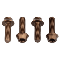 Titanium Water Bottle Cage Bolts - Litespeed Bicycles