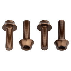 Titanium Water Bottle Cage Bolts - Litespeed Bicycles