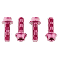 Titanium Water Bottle Cage Bolts - Litespeed Bicycles