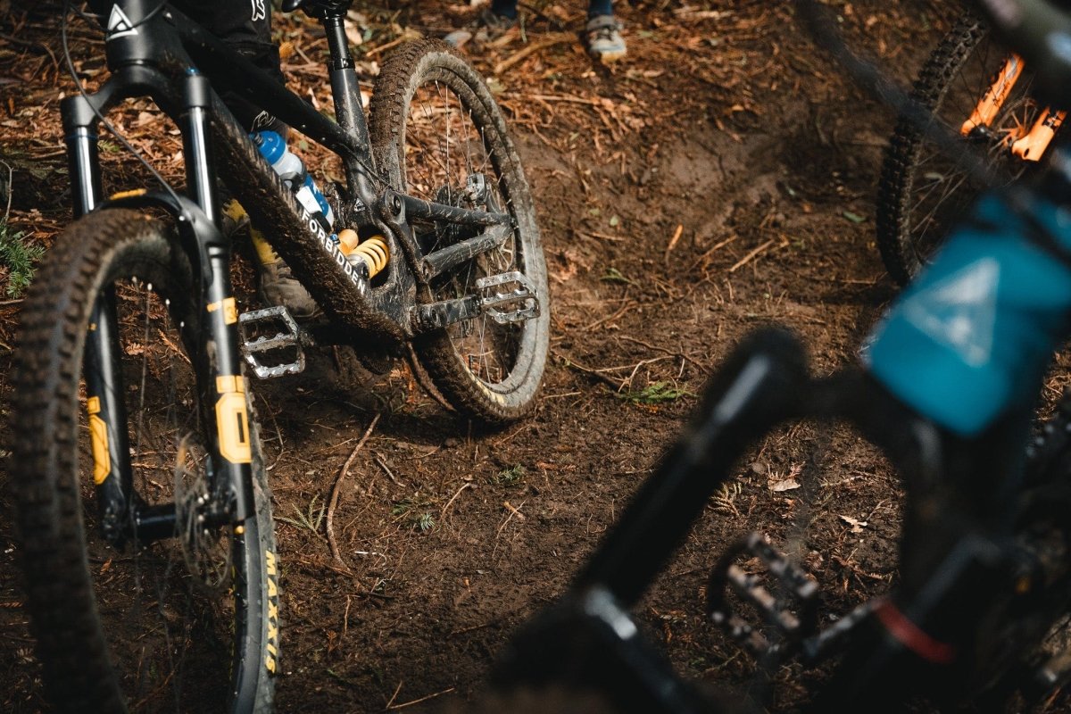 Titanium Waveform Aluminum Pedals - Litespeed Bicycles