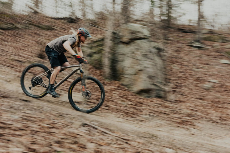 Titanium Pinhoti III Frame - Litespeed Bicycles