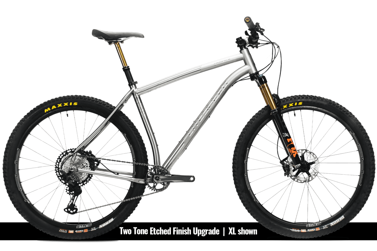 Titanium Pinhoti III Switcher - Litespeed Bicycles