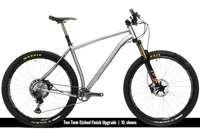 Titanium Pinhoti III Switcher - Litespeed Bicycles