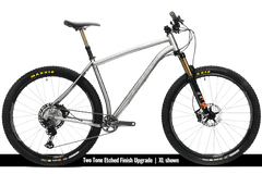 Titanium Pinhoti III Switcher - Litespeed Bicycles