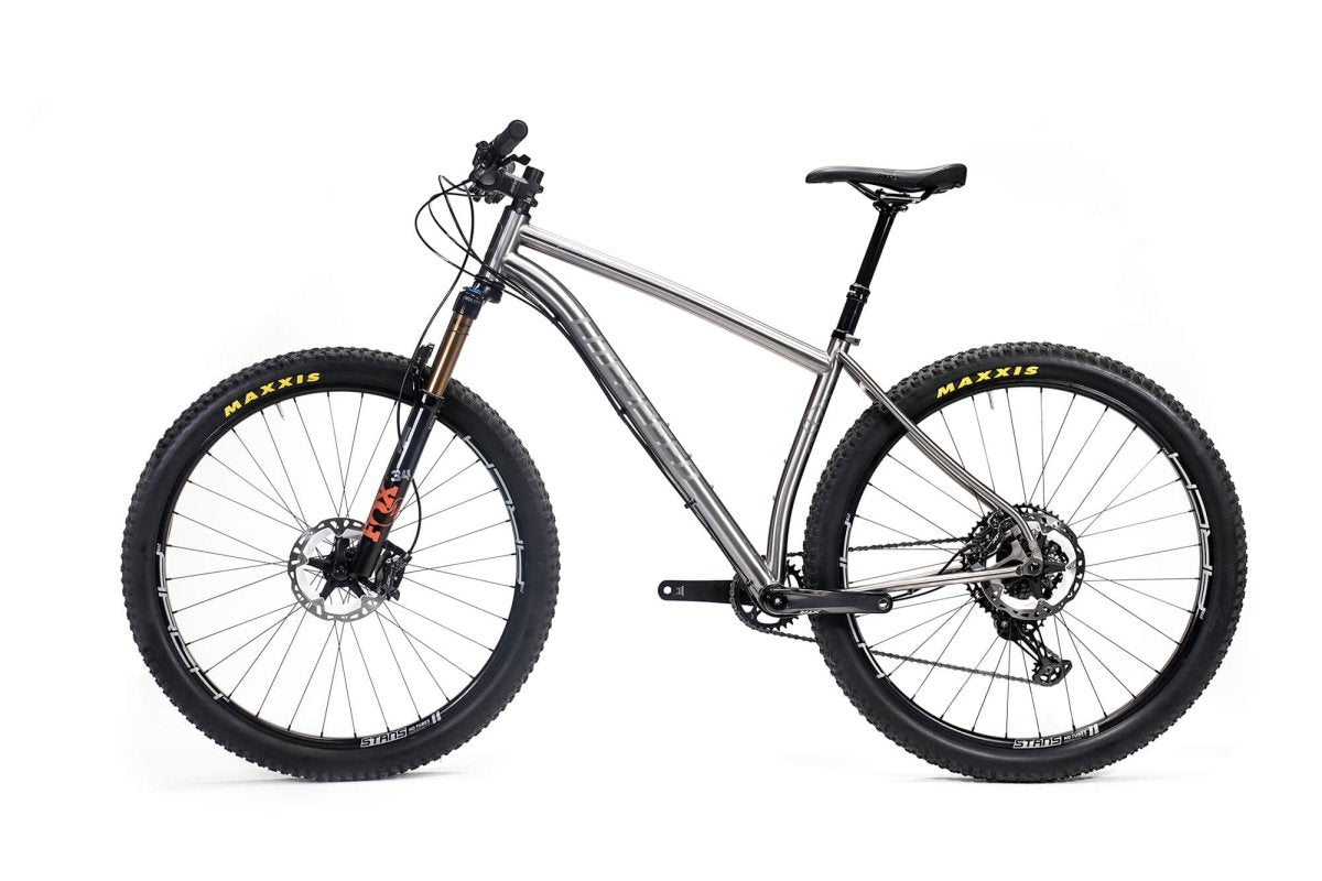 Titanium Pinhoti III Switcher - Litespeed Bicycles