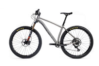 Titanium Pinhoti III Switcher - Litespeed Bicycles