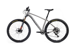 Titanium Pinhoti III Switcher - Litespeed Bicycles