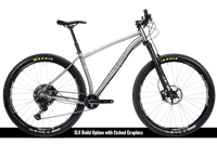 Titanium Pinhoti III Switcher - Litespeed Bicycles