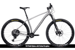 Titanium Pinhoti III Switcher - Litespeed Bicycles