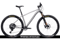 Titanium Pinhoti III Switcher - Litespeed Bicycles