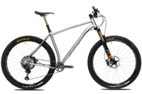 Titanium Pinhoti III Switcher - Litespeed Bicycles