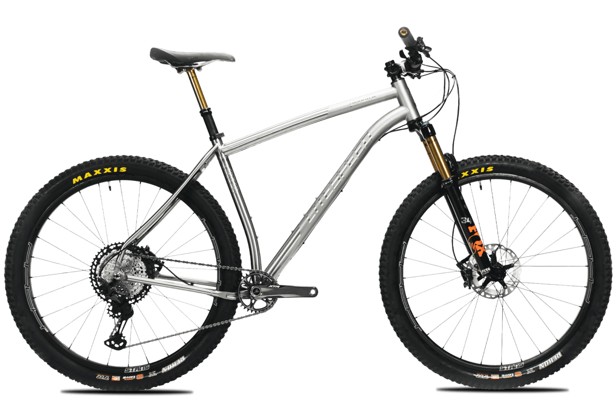Titanium Pinhoti III Switcher - Litespeed Bicycles