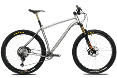 Titanium Pinhoti III Switcher - Litespeed Bicycles