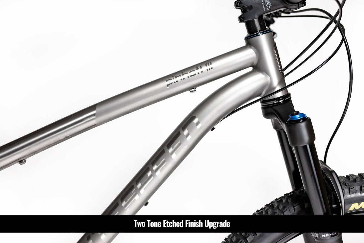 Titanium Pinhoti III Switcher - Litespeed Bicycles