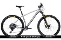 Titanium Pinhoti III Switcher - Litespeed Bicycles