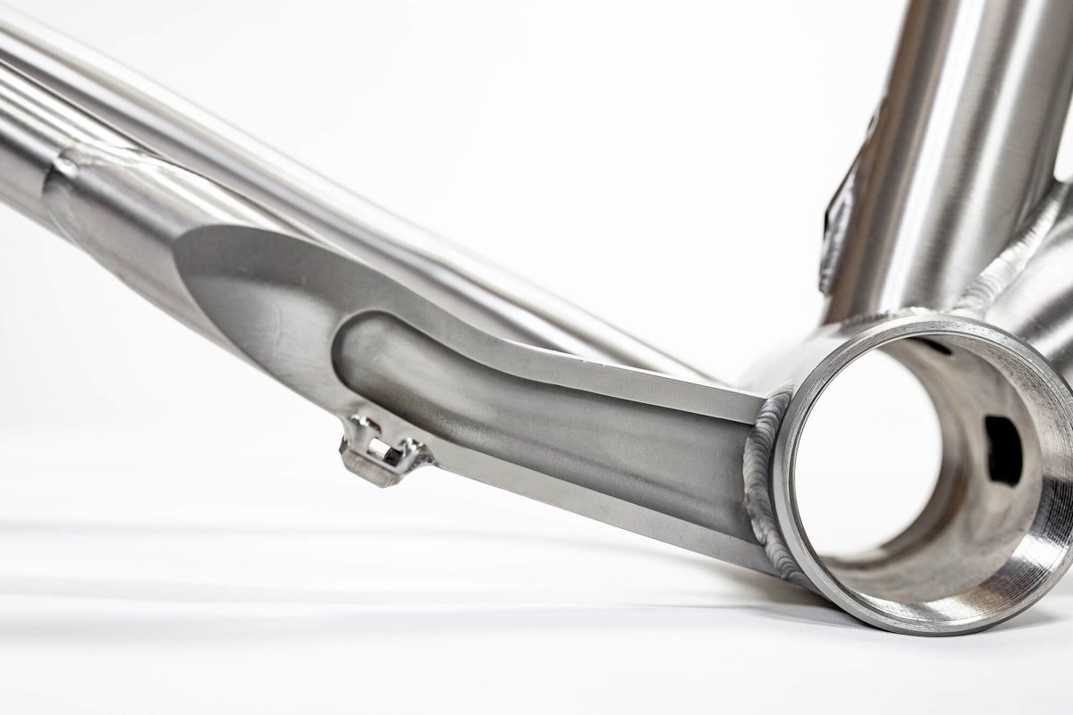 Titanium Pinhoti III Switcher - Litespeed Bicycles