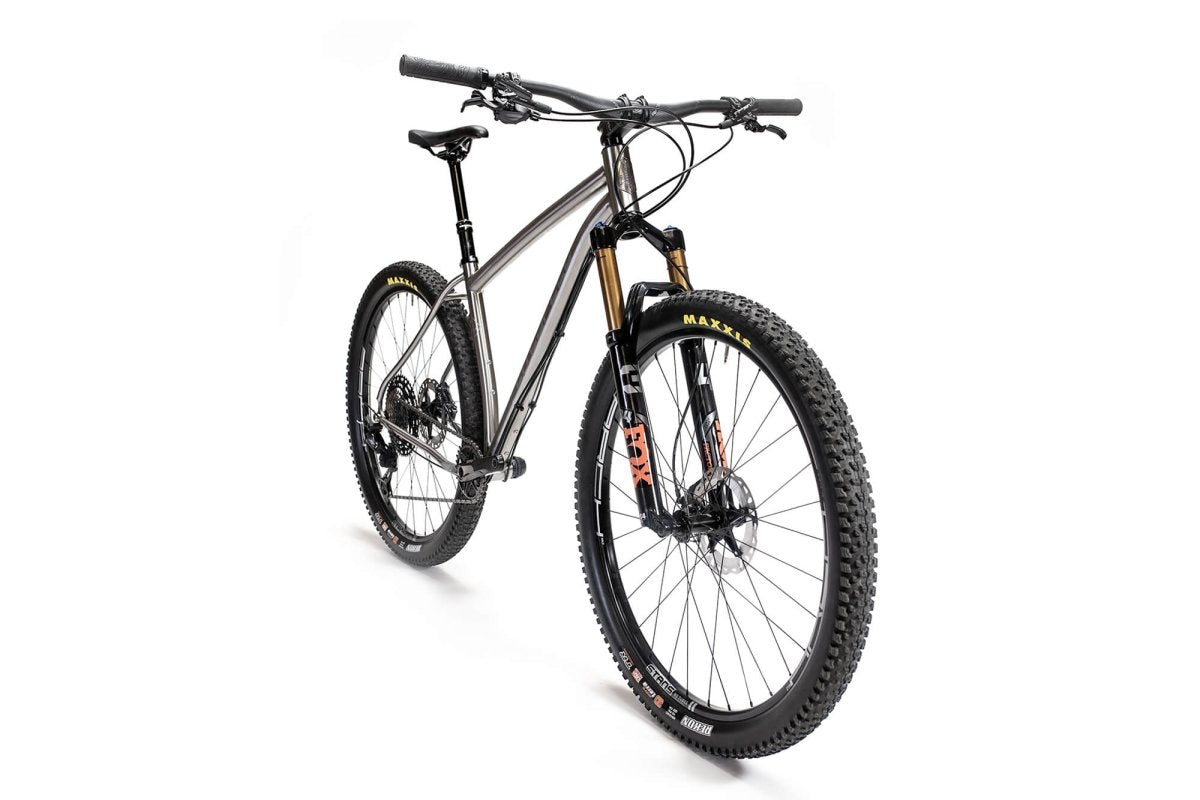 Titanium Pinhoti III Switcher - Litespeed Bicycles