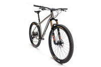 Titanium Pinhoti III Switcher - Litespeed Bicycles