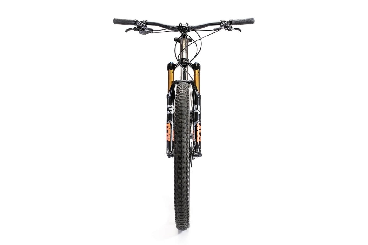 Titanium Pinhoti III Switcher - Litespeed Bicycles